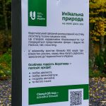 565669301 122144343554648802 9169714208923453782 N