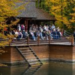 566302061 122144343056648802 4662591392232592869 N