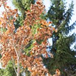 584714167 122146698662648802 5077553736572484227 N