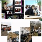 586792528 122146902902648802 8662463055580324477 N